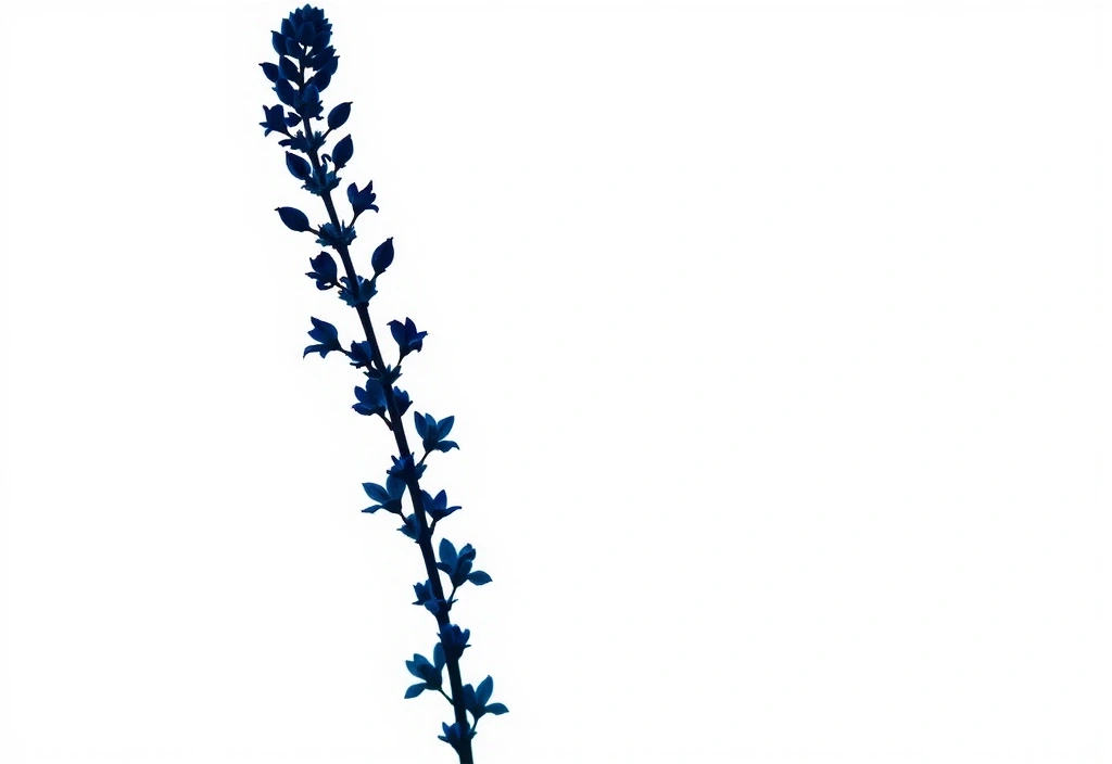 Botanical herb silhouette